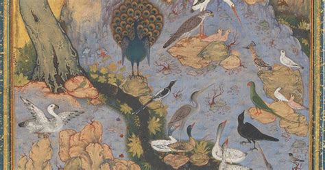  The Girl Who Could Talk To Birds!  A 16th-Century Iranian Tale About the Power of Connection and the Mystery of Nature.